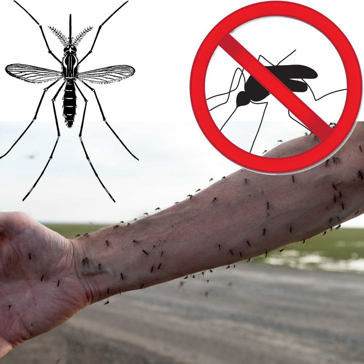 Mosquito Indoor Trap Genius Upgraded Home Mozzies Mosquitos Catcher UV Control Device