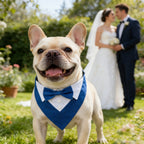 Bow Tie Dog Collar Tuxedo Bandana Adjustable Dress-up Party Costume