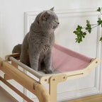 Cat Window Bed Shelf Hanging Hammock For Kittens Cats