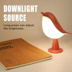 Bird-shaped lamp on a book with text about downlight source and brightness adjustment.