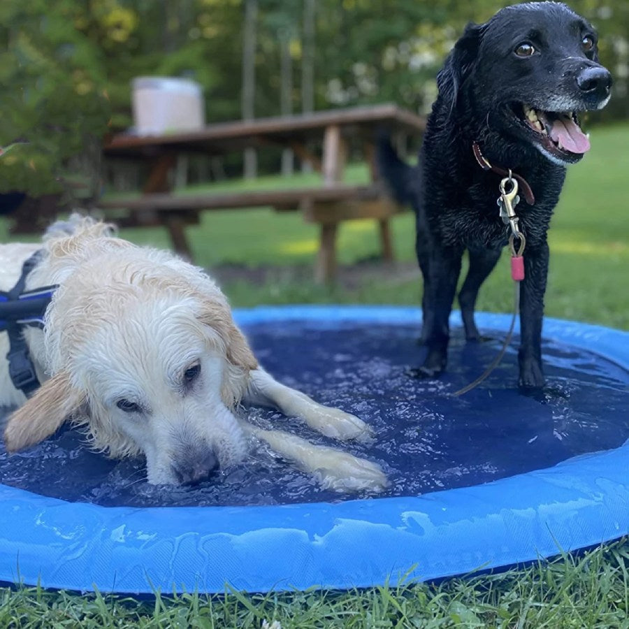 Dog Wash Fountain Sprinkler Inflatable Swimming Pool Dog Toy - Cool In Summer Heat