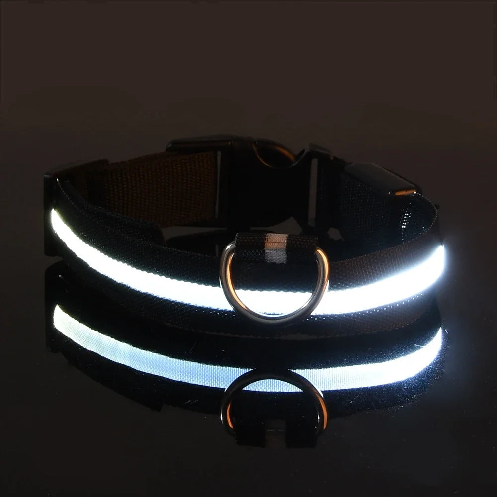LED Dog Collar Night Safety Glowing Flashing