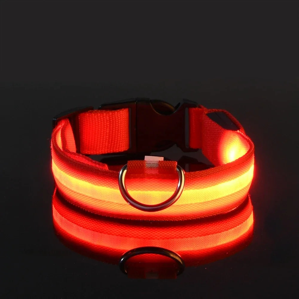 LED Dog Collar Night Safety Glowing Flashing