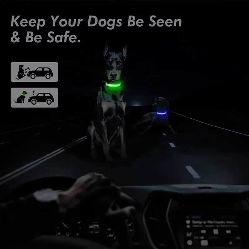 LED Glowing Night Light Dog Collar Illuminated USB Rechargeable Pet Safety Harness