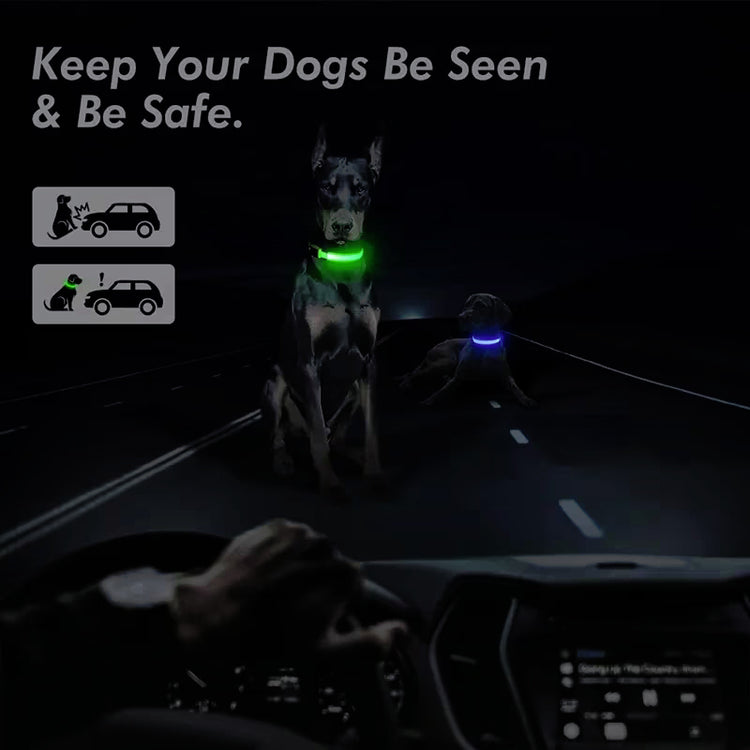 LED Glowing Night Light Dog Collar Illuminated USB Rechargeable Pet Safety Harness