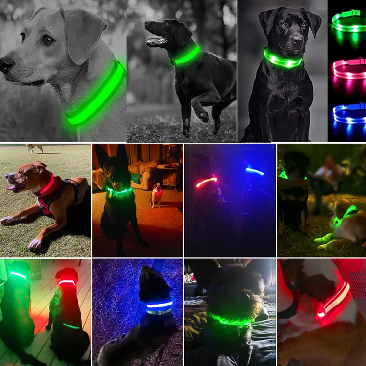 LED Glowing Night Light Dog Collar Illuminated USB Rechargeable Pet Safety Harness