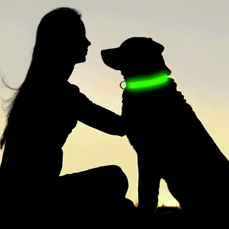 LED Glowing Night Light Dog Collar Illuminated USB Rechargeable Pet Safety Harness