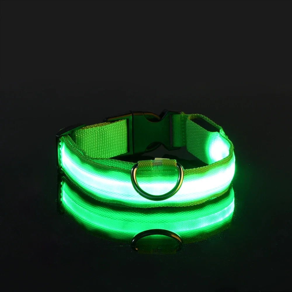LED Safety Glowing Flashing Dog Collar Night Illuminated Glow In The Dark