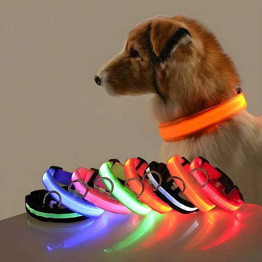 Dog Collar Nylon LED Glowing Night Safety Light Illuminated Flashing Glow In The Dark USB Rechargeable