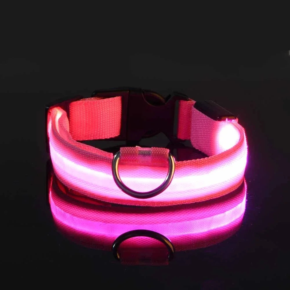 LED Safety Glowing Flashing Dog Collar Night Illuminated Glow In The Dark