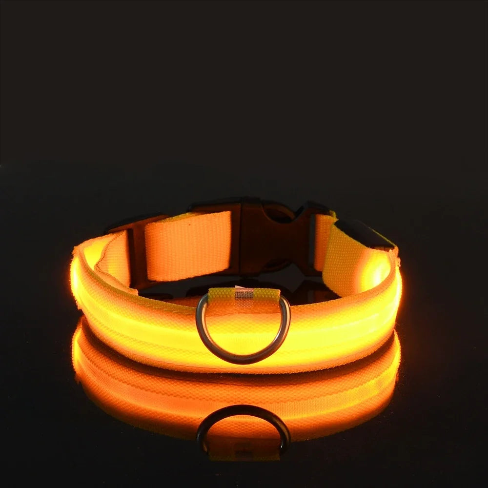 LED Safety Glowing Flashing Dog Collar Night Illuminated Glow In The Dark