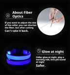 LED Dog Collar Night Safety Glowing Flashing
