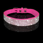 Dog Collar With Studded Diamonds Gangsta Bling Comfy Suede Fibre Small Medium Cats