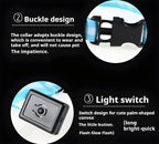 LED Dog Collar Night Safety Glowing Flashing