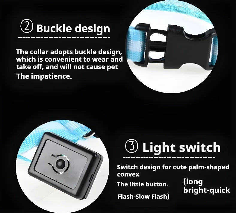 LED Dog Collar Night Safety Glowing Flashing