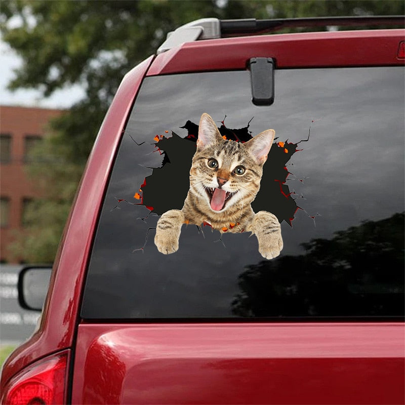 Fix Car Scratches Hide Dints Stickers Funny Cat and Dog 3D Decals