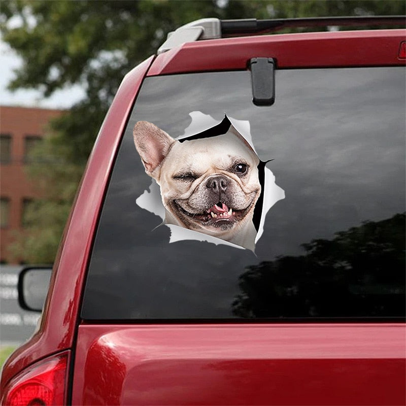 Fix Car Scratches Hide Dints Stickers Funny Cat and Dog 3D Decals