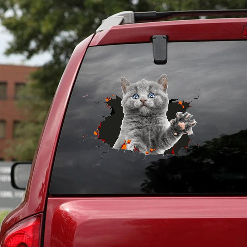 Fix Car Scratches Hide Dints Stickers Funny Cat and Dog 3D Decals