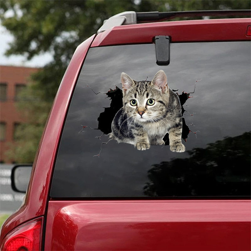 Fix Car Scratches Hide Dints Stickers Funny Cat and Dog 3D Decals