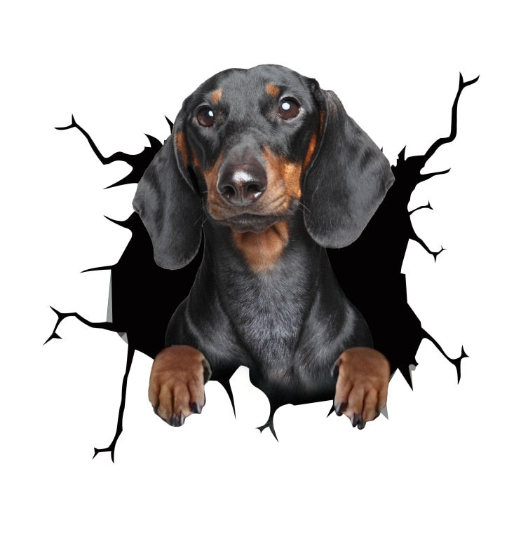 Fix Car Scratches Hide Dints Stickers Funny Cat and Dog 3D Decals