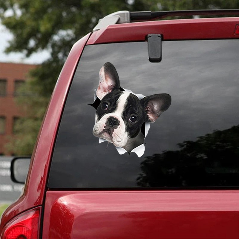 Fix Car Scratches Hide Dints Stickers Funny Cat and Dog 3D Decals