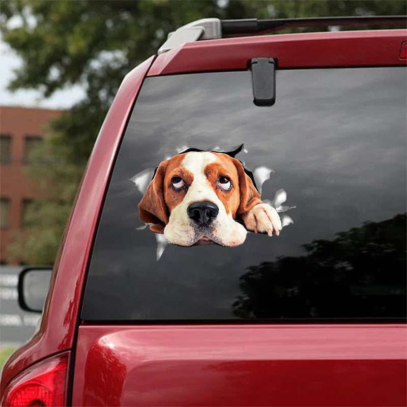 Fix Car Scratches Hide Dints Stickers Funny Cat and Dog 3D Decals
