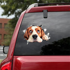 Fix Car Scratches Hide Dints Stickers Funny Cat and Dog 3D Decals