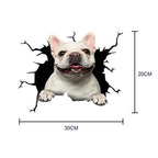 Fix Car Scratches Hide Dints Stickers Funny Cat and Dog 3D Decals