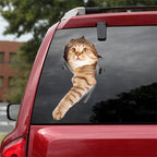 Fix Car Scratches Hide Dints Stickers Funny Cat and Dog 3D Decals