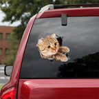 Fix Car Scratches Hide Dints Stickers Funny Cat and Dog 3D Decals