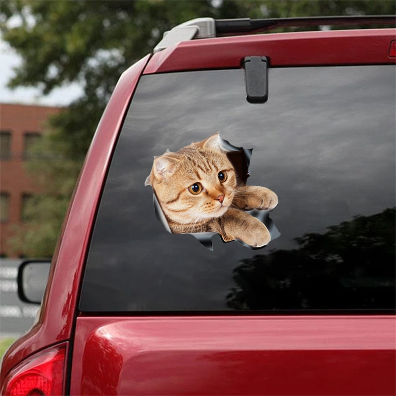 Fix Car Scratches Hide Dints Stickers Funny Cat and Dog 3D Decals