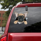 Fix Car Scratches Hide Dints Stickers Funny Cat and Dog 3D Decals