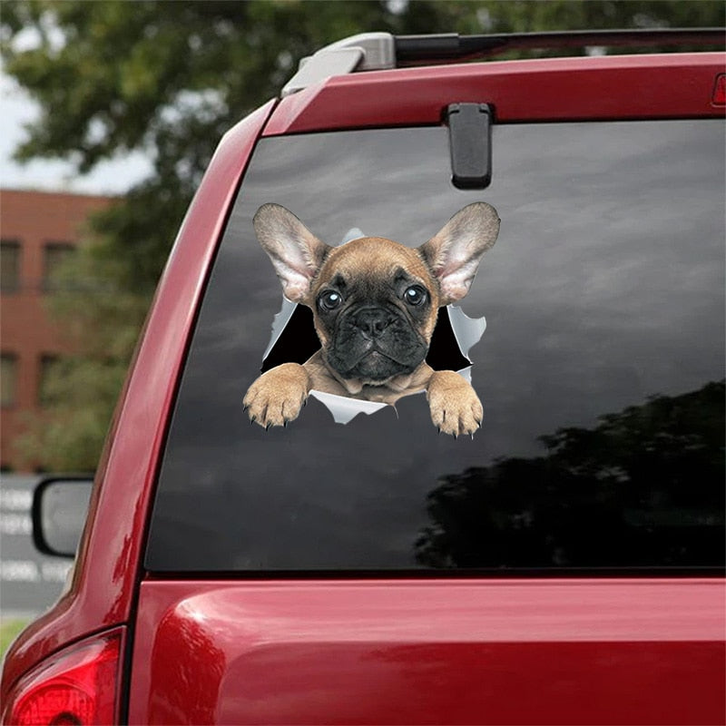 Fix Car Scratches Hide Dints Stickers Funny Cat and Dog 3D Decals