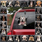 Fix Car Scratches Hide Dints Stickers Funny Cat and Dog 3D Decals