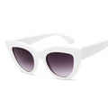 Cat Eye Oversized Sunglasses Women's Large Fashion Frame Hollywood Retro