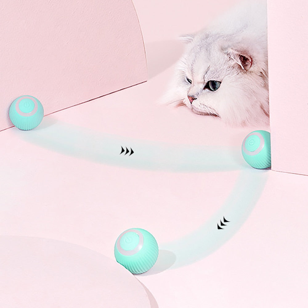 Cat Interactive Ball Zig-Zag Chaser Toy