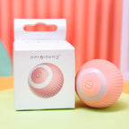Cat Interactive Ball Zig-Zag Chaser Toy