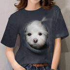 Cat T-Shirt - Kittens Printed Tee Plus Sizes