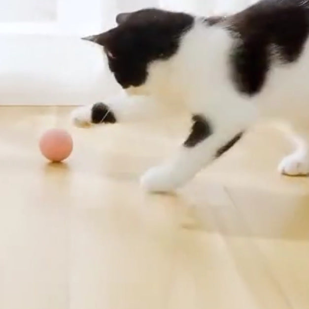 Cat Toy Self-Moving Zig-Zag Ball For Bored Cats To Play