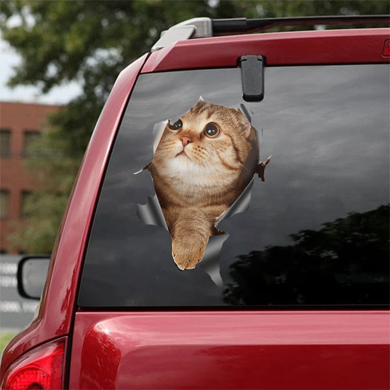 Car Stickers Funny Cat & Dog 3D Decal Decoration Bumper Stickers