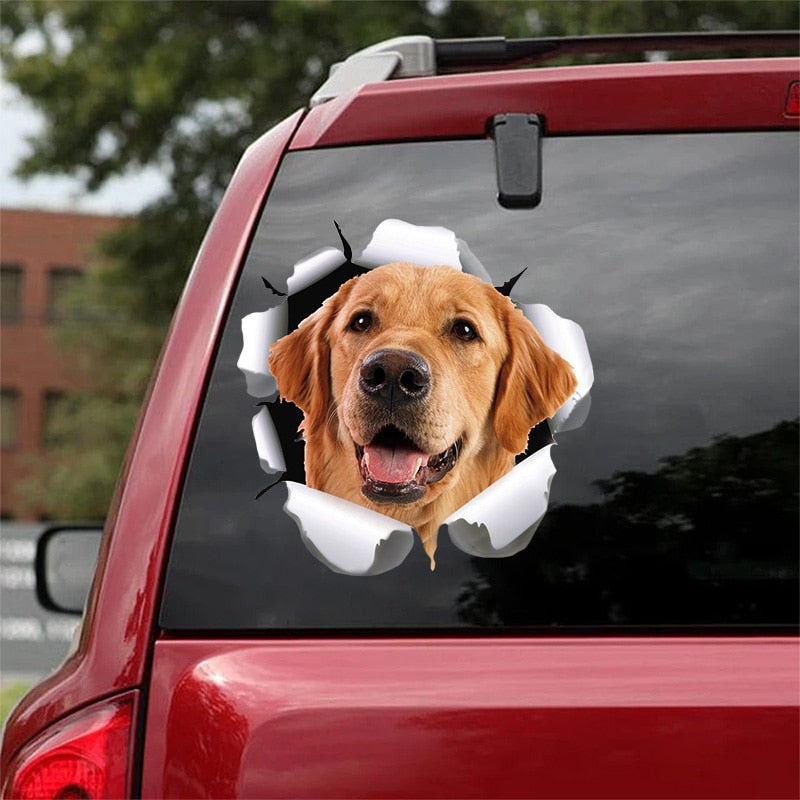 Car Stickers Funny Cat & Dog 3D Decal Decoration Bumper Stickers