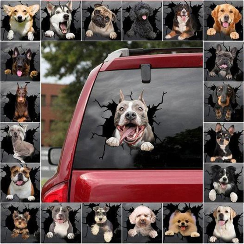 Car Funny Stickers Cat & Dog 3D Cute Pet Animal Decal Decoration Bumper Stickers