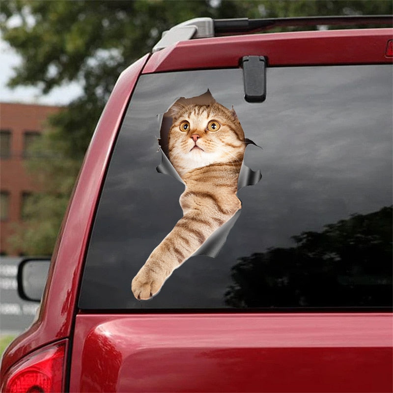 Car Stickers Funny Cat & Dog 3D Decal Decoration Bumper Stickers