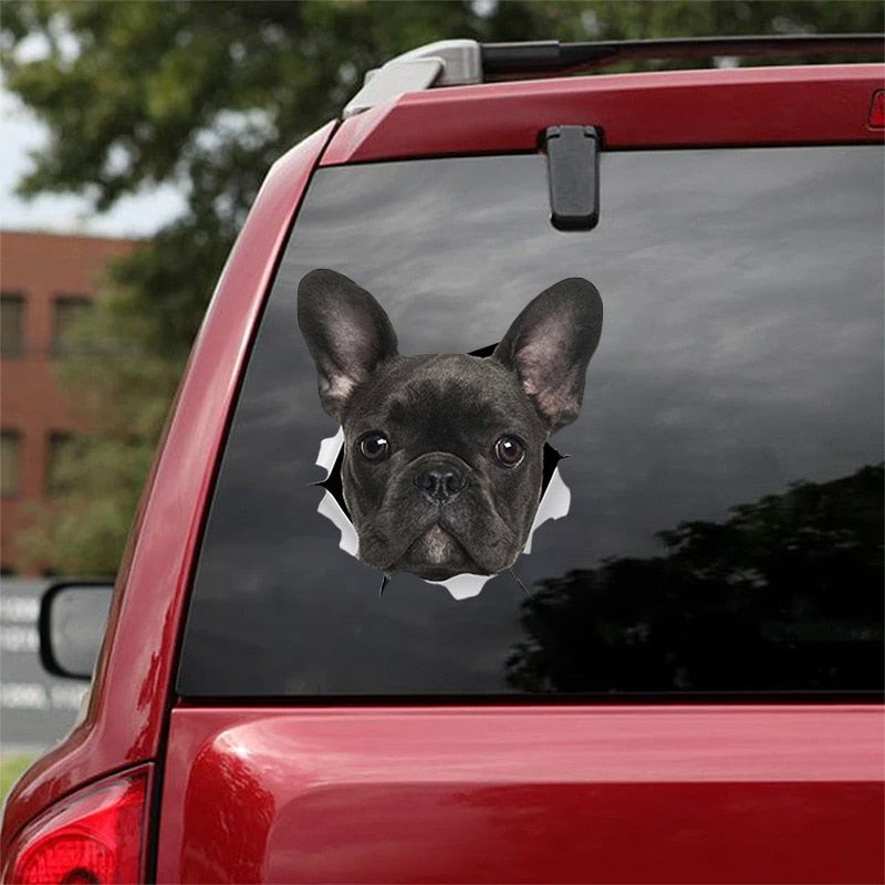 Car Funny Stickers Cat & Dog 3D Cute Pet Animal Decal Decoration Bumper Stickers