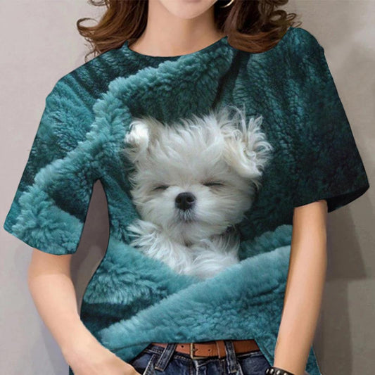 Cat Women's T-Shirt - Kittens Printed Tee Plus Sizes-Keep Melbourne Marvellous Official Store