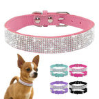 Dog Collar With Studded Diamonds Gangsta Bling Comfy Suede Fibre Small Medium Cats
