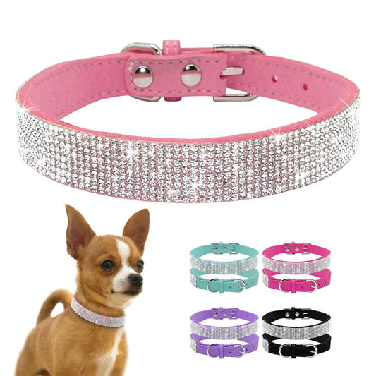 Dog Collar With Studded Diamonds Small & Medium Dogs & Cats Collar