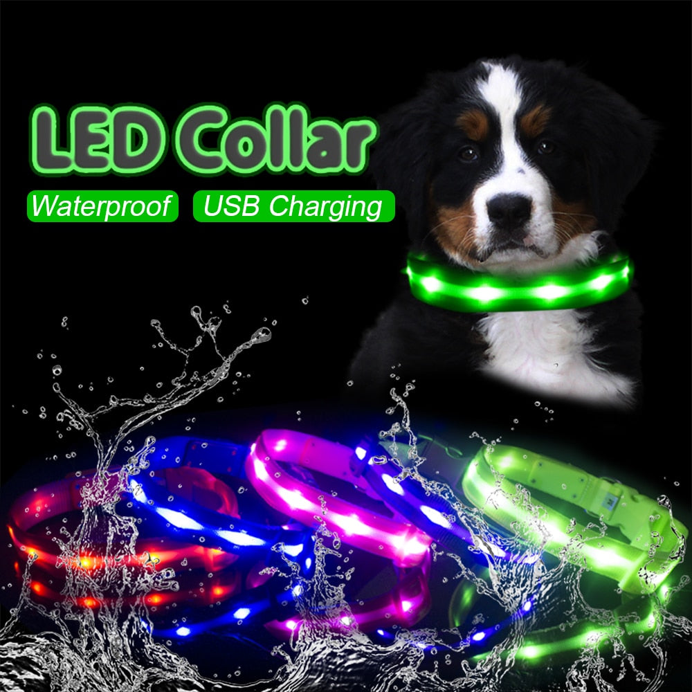 LED Glowing Night Light Dog Collar Illuminated USB Rechargeable Pet Safety Harness