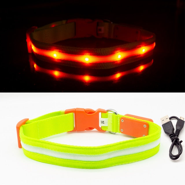 LED Glowing Night Light Dog Collar Illuminated USB Rechargeable Pet Safety Harness