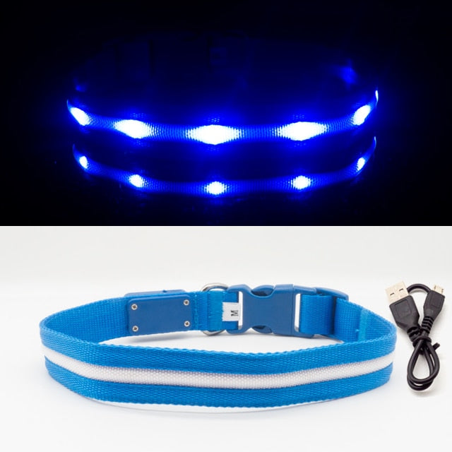 LED Glowing Night Light Dog Collar Illuminated USB Rechargeable Pet Safety Harness